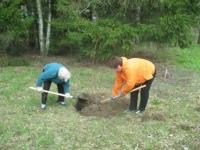 Земляцька толока у Пирогово ( підросте....jpg)
